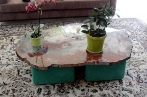 Projet Table Fossile
