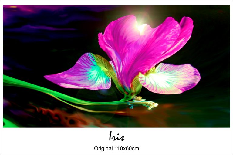 Tableau sur verre -Iris